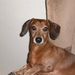 Profile Picture of Scott Blodgett (@user50) on Pinterest