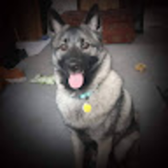 Profile Picture of Alecia Heiges (@aleciah25) on Poshmark