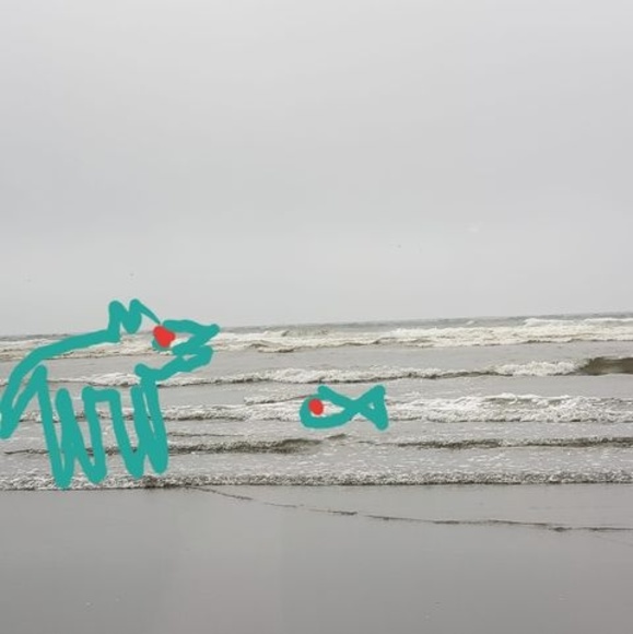 Profile Picture of Andy Yates (@yates3717) on Poshmark