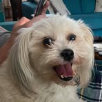 Mandy Callaghan - Facebook Profile Picture of Mandy Callaghan (@Mandy-Callaghan) on Facebook