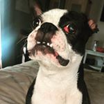 Profile Picture of Lilly Lightfoot (@lillianlightfoot) on Instagram