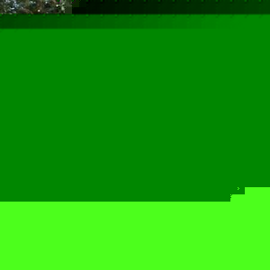 Profile Picture of Terri Stanfield (@dallasterbear) on Myspace