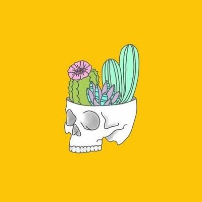 Profile Picture of Mr. Kleeiin (@armandklein40) on Twitter