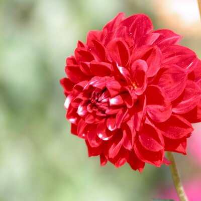 Profile Picture of Mohammad Nisar Bajwa (@sajidijaz17) on Twitter