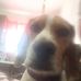 Profile Picture of James Maville (@james.maville.10) on Facebook