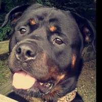 Profile Picture of Shellie Brigg (@shellie-brigg) on Quora