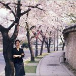 Profile Picture of Janet Lee (@neolssoda) on Instagram