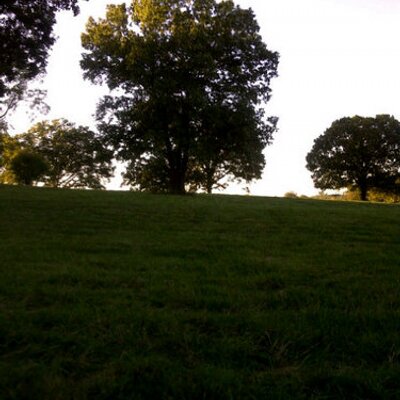 Profile Picture of Bobbie Ward Keeney (@bobbiewardvhhs) on Twitter