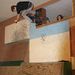 Profile Picture of craig scharf (@flybikescraig) on Pinterest