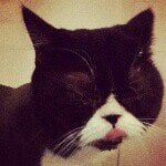 Profile Picture of Larry (@syam2802) on Instagram