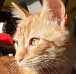 Profile Picture of Claire Colin (@Claire-Colin) on Facebook