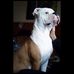 Profile Picture of John Judd (@john.judd.351) on Facebook