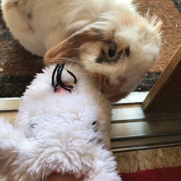 Profile Picture of Amanda Ko (@blessedbrianna) on Poshmark