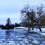 Profile Picture of Vijayasree Shyam Krishnan (@srees_vijaya) on Flickr