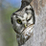 Profile Picture of Michèle10 (@michèle10) on Flickr