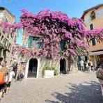 Profile Picture of Janet Moser (@janet.moser.142) on Facebook