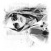 Profile Picture of Miracle Freeman (@Miracle-Freeman) on Facebook