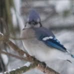 Profile Picture of Joyce Probst (@Joyce-Probst) on Facebook