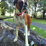 Profile Picture of April Bradshaw (@april.bradshaw.90) on Instagram