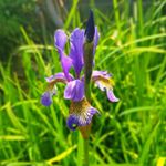 Profile Picture of Steven de Jong (@steven.dejong.56) on Instagram