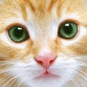 Profile Picture of Joanna Vincent (@joanna-joey) on Myspace
