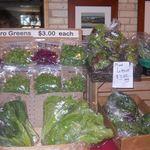 Profile Picture of Richard Jelenek (@richardjelenek) on Instagram