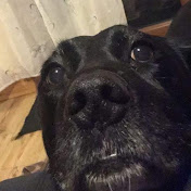 Profile Picture of Adam Sheridan (@adamsheridan4482) on Youtube