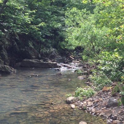 Profile Picture of Timothy Satterfield (@TimothySatterf7) on Twitter