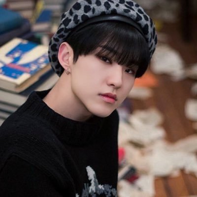 Profile Picture of Hoshi Pics (@archiveskwon) on Twitter
