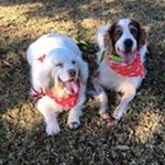 Profile Picture of Carol Chase (@chasehope) on Instagram