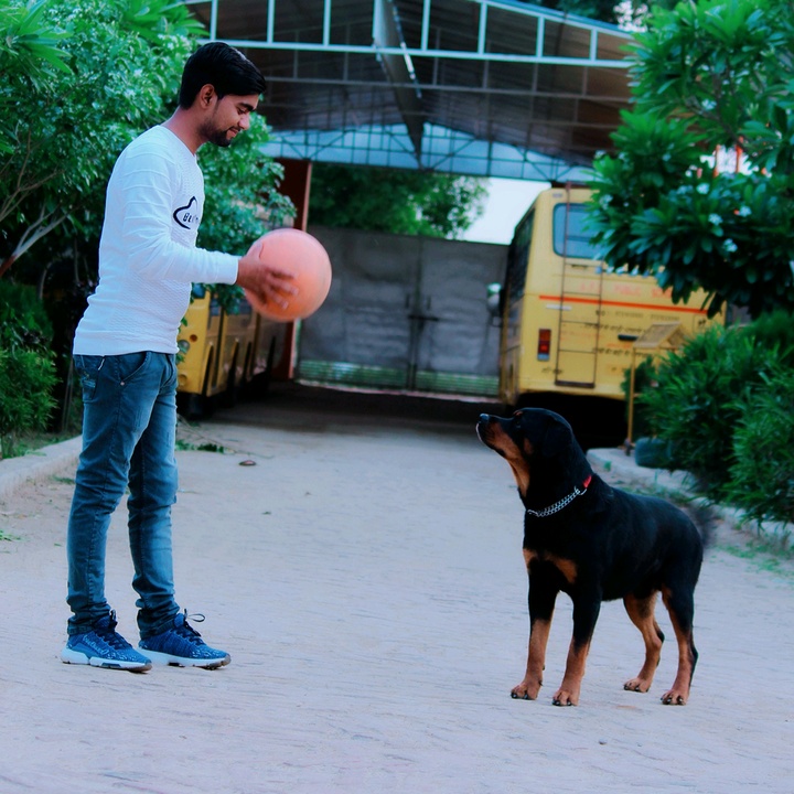 Profile Picture of Arvind Shukla (@arvindshukla994) on Tiktok