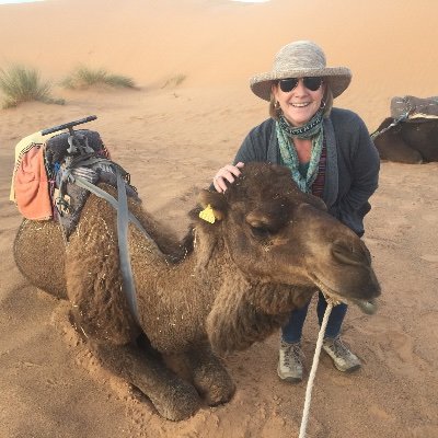 Profile Picture of Nancy Cahall (@NanCahall) on Twitter