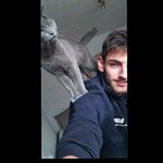 Profile Picture of Miki🇨🇭🇨🇭🤘 (@michael.gyseler) on Instagram