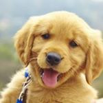 Profile Picture of Anthony James Benner (@anthonyjamesbenner3933) on Instagram