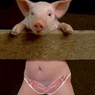 Profile Picture of Michele Ledoux (@Putyourledouxup) on Twitter