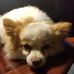 Profile Picture of Dawn Arsenault (@dawn.arsenault.750) on Facebook