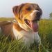 Profile Picture of Beans Howard (@beans.howard) on Facebook