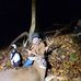 Profile Picture of Michael Newswanger (@michael.newswanger.7) on Facebook