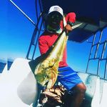 Profile Picture of Jose Luis Armengod Ramirez (@armengodramirez) on Instagram