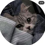 Profile Picture of Ana Paula (@anittalascano) on Instagram