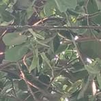 Profile Picture of Pawan Sherma (@pawan.sherma.7564) on Facebook