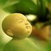 Profile Picture of Jennifer Banh (@mainhai) on Pinterest