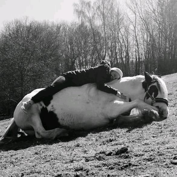 Profile Picture of Eileen Pattusch (@horsegirl150) on Tiktok