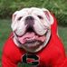 Profile Picture of Jeff Sasser (@jeff.sasser.73) on Facebook