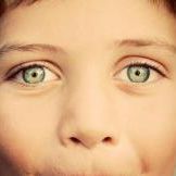 Profile Picture of Traci Manis (@tracimanis) on Pinterest