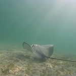 Jonathan Naylor - Flickr Profile Picture of Jonathan Naylor (@naylor76) on Flickr