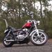 Profile Picture of Peter Veitch (@chopperpete66) on Pinterest