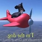 Profile Picture of Aidan Mckenna (@aidanmcken) on Instagram