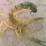 Triple Kimx Titus - Facebook Profile Picture of Triple Kimx Titus (@triple.kimxtitus) on Facebook