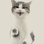 Profile Picture of Joseph Castanon (@joseph.daily.meme.time7) on Instagram